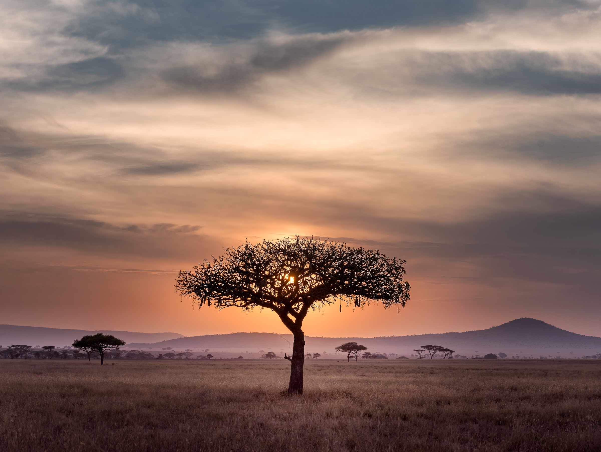 Africa-Success-Stories